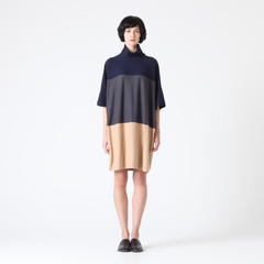 Three Tone Jersey Dress with Soft Turtleneck Collar
