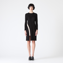 Long Sleeve Bodycon Dress with Contrast Colour Front Strip